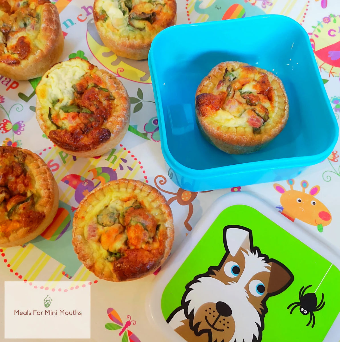 Picnic Bites – TUM TUM TOTS