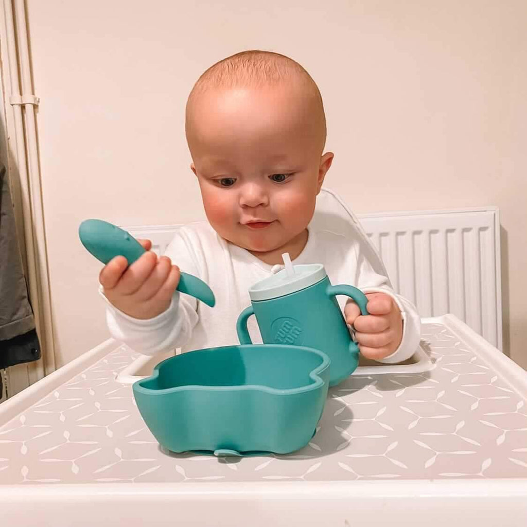 Baby Led Weaning - Getting Started
