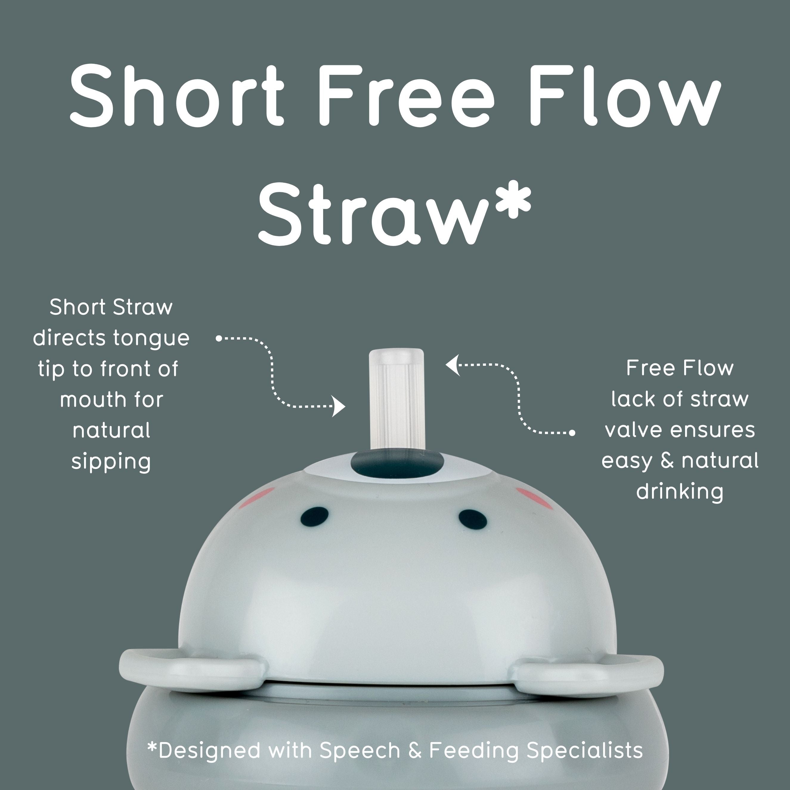 Tippy Up Sippy Cup (Series 3), with Weighted Straw (Valve Free), Kev Koala, 200ml