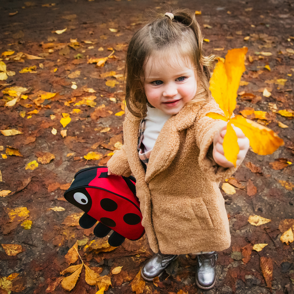 toddler lunch bag ladybird