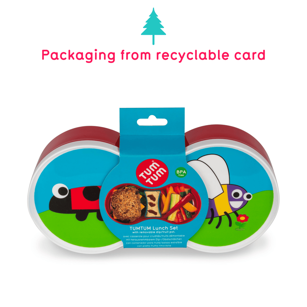 Ladybird lunch box for kids