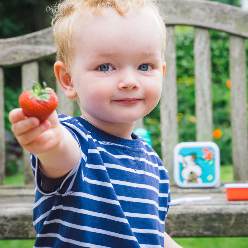 Kids snack box